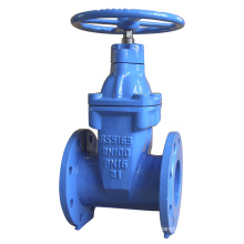 Bs5163 Ductile Iron Resilient Seated Gate Valve